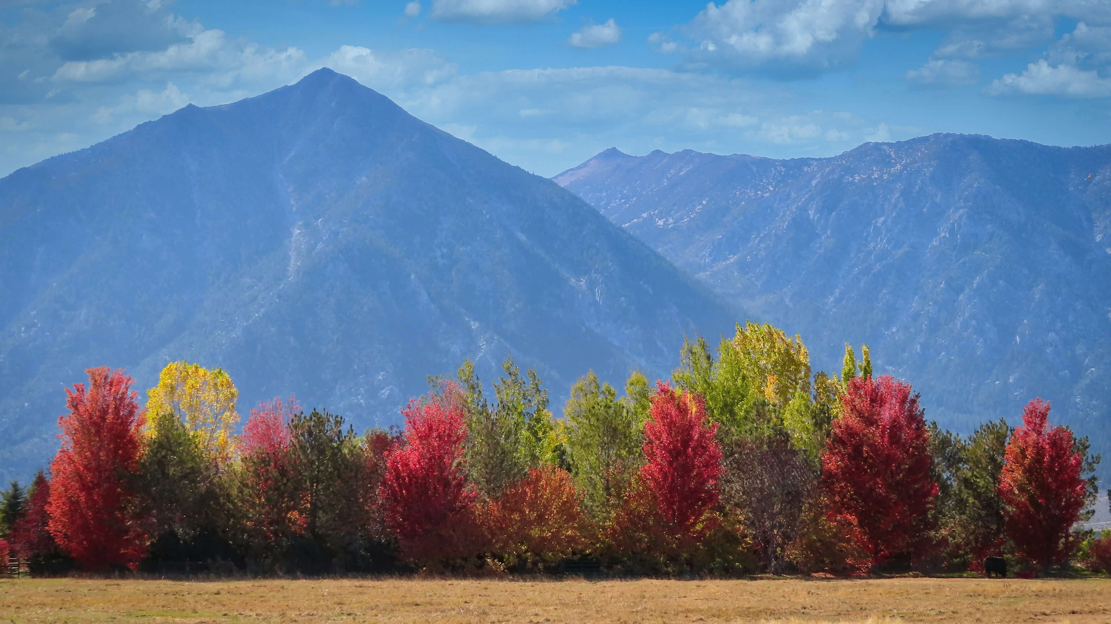 Gardnerville real estate