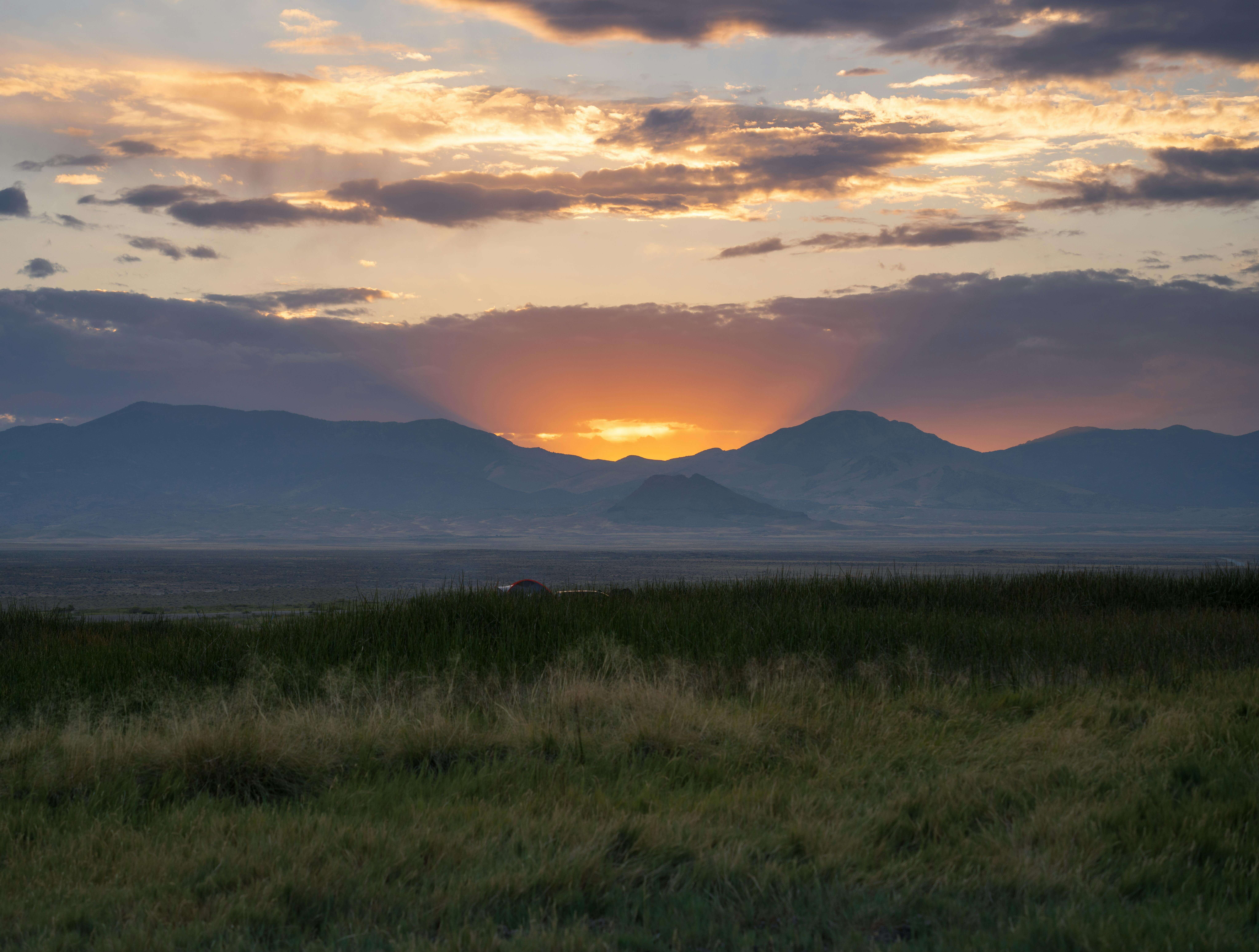 Summer in Gardnerville